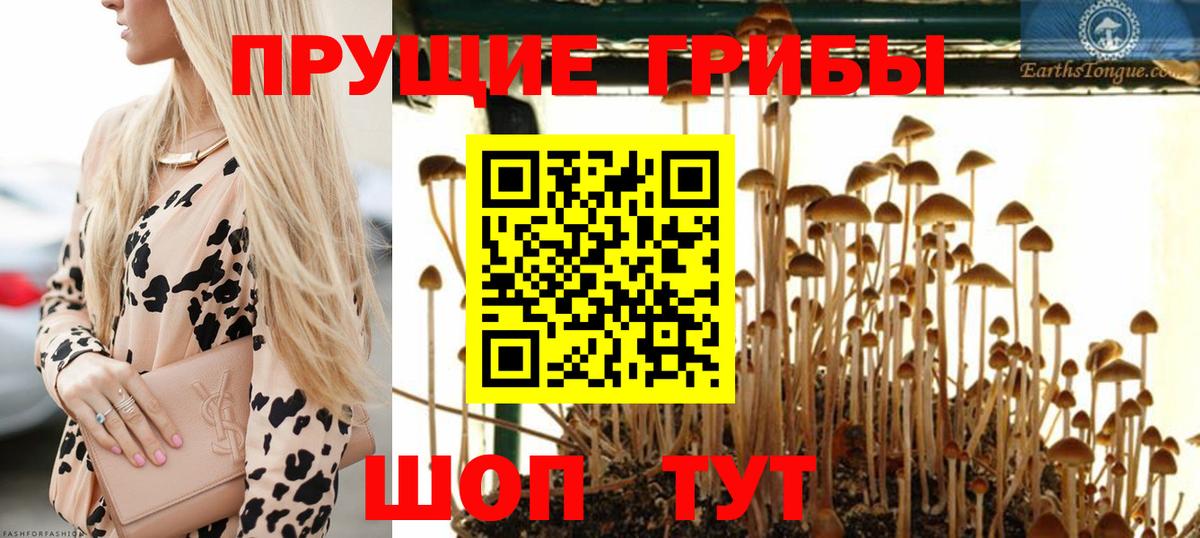 Миасс  Псилоцибиновые грибы мицелий  где найти наркотики  Вход с VPN 