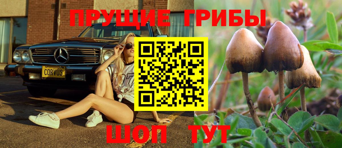 Псилоцибиновые грибы ЛСД Миасс